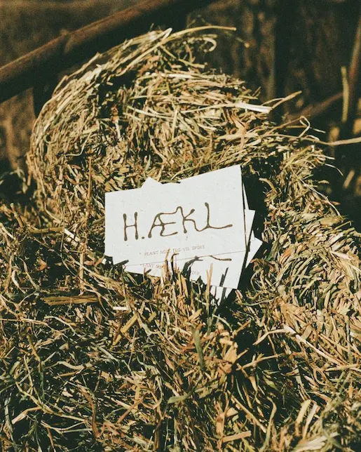 kontakt h.ækl