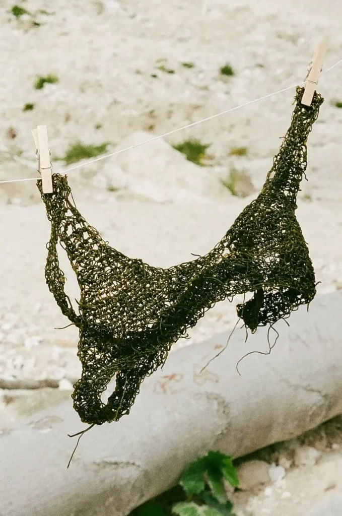 Algae yarn show piece bikini
