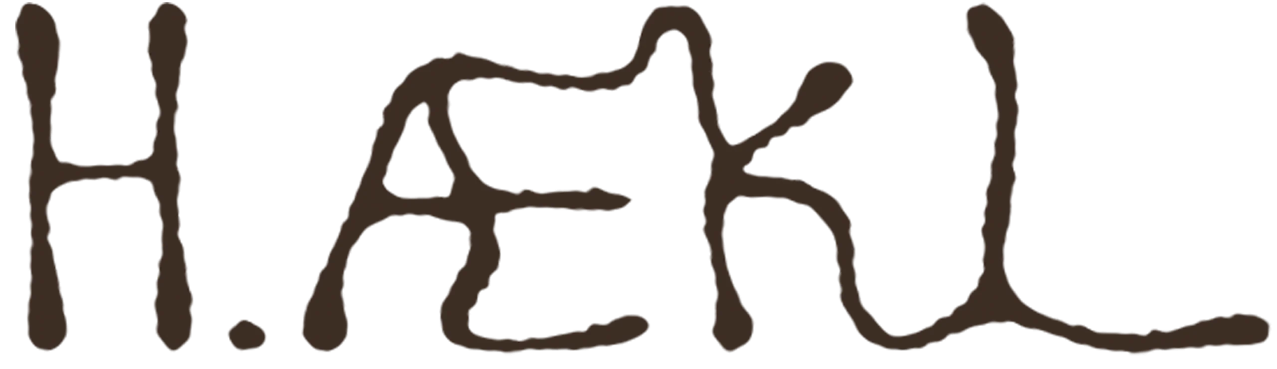 png-haekl-kopi-2-scaled